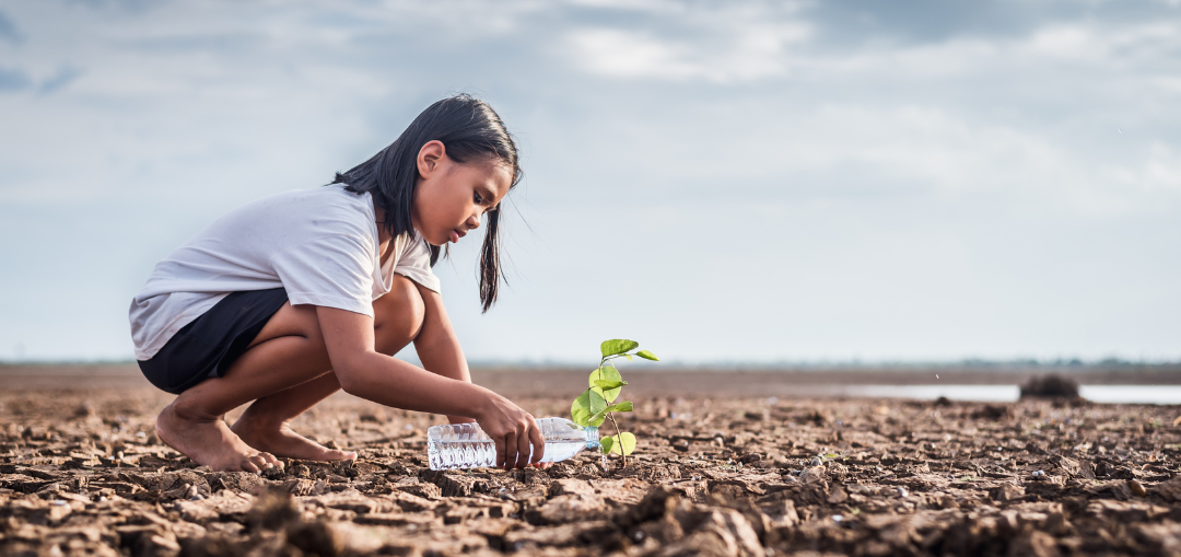 Adaptation au changement climatique