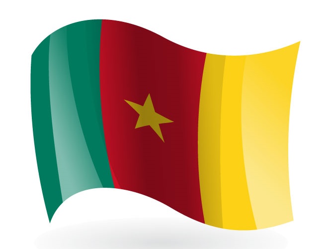 Drapeau Cameroun